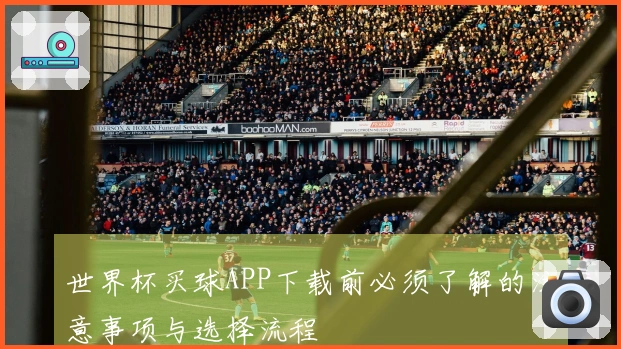 世界杯买球APP下载前必须了解的注意事项与选择流程