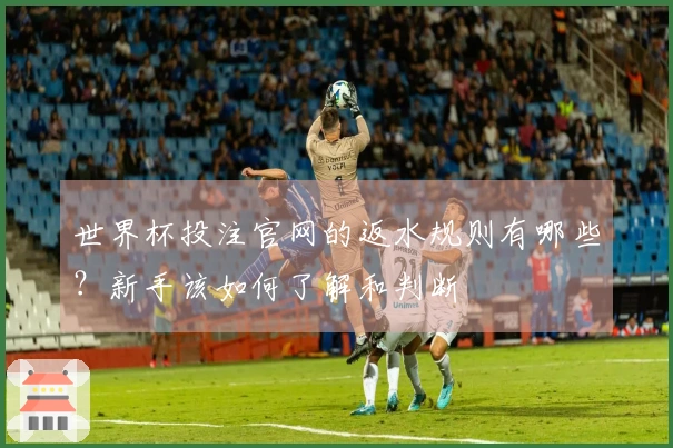 世界杯投注官网的返水规则有哪些？新手该如何了解和判断