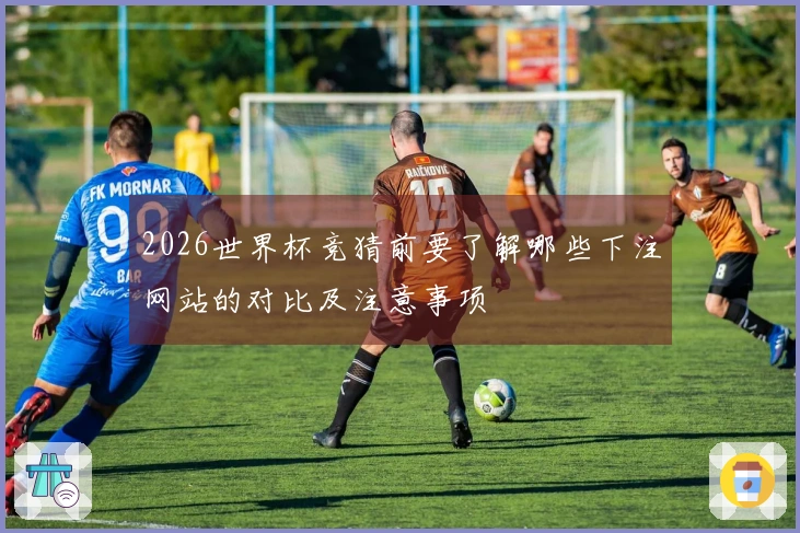 2026世界杯竞猜前要了解哪些下注网站的对比及注意事项