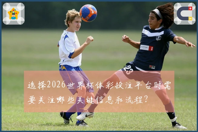 选择2026世界杯体彩投注平台时需要关注哪些关键信息和流程？