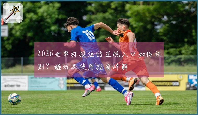 2026世界杯投注的正规入口如何识别？避坑及使用指南详解