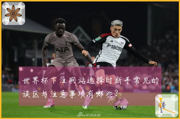 世界杯下注网站选择时新手常见的误区与注意事项有哪些？