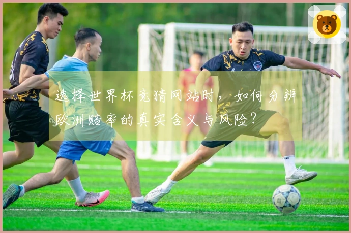 选择世界杯竞猜网站时，如何分辨欧洲赔率的真实含义与风险？