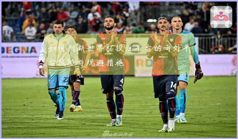 如何判断世界杯投注平台的海外平台风险与规避措施
