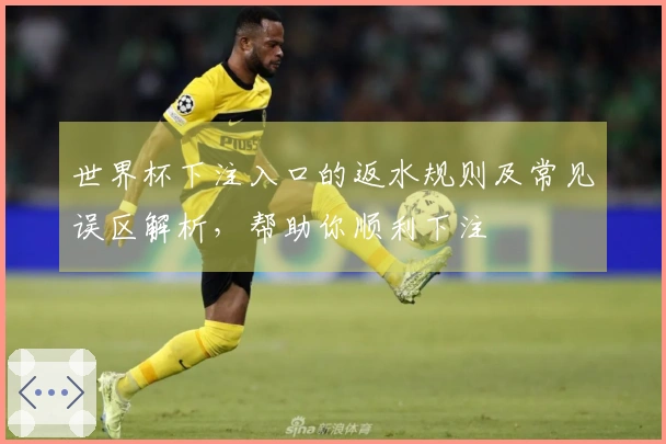 世界杯下注入口的返水规则及常见误区解析，帮助你顺利下注