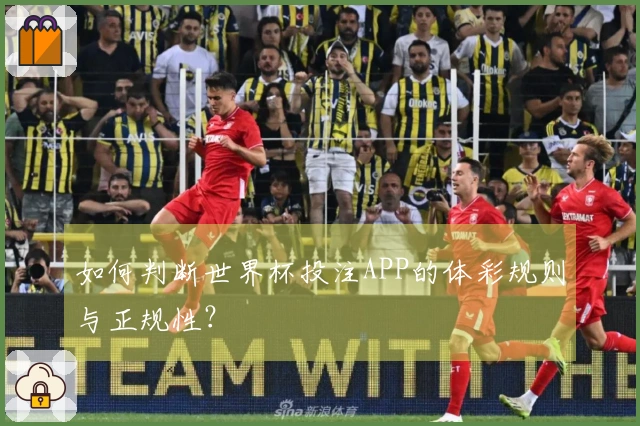 如何判断世界杯投注APP的体彩规则与正规性？