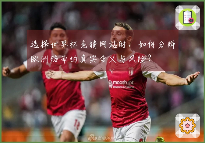 选择世界杯竞猜网站时，如何分辨欧洲赔率的真实含义与风险？