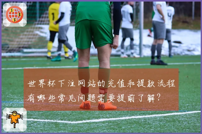 世界杯下注网站的充值和提款流程有哪些常见问题需要提前了解？