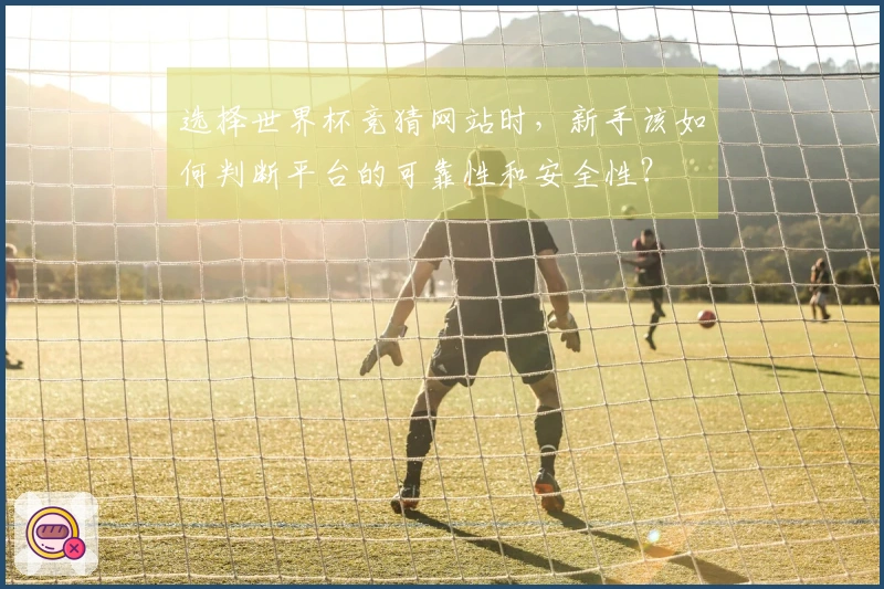 选择世界杯竞猜网站时,新手该如何判断平台的可靠性和安全性?