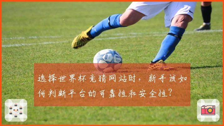 选择世界杯竞猜网站时，新手该如何判断平台的可靠性和安全性？