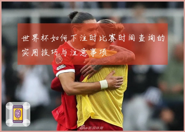 世界杯如何下注时比赛时间查询的实用技巧与注意事项
