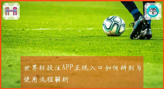 世界杯投注APP正规入口如何辨别与使用流程解析