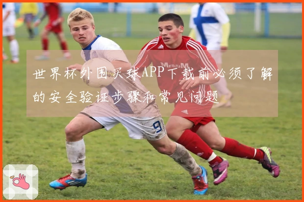 世界杯外围买球APP下载前必须了解的安全验证步骤和常见问题