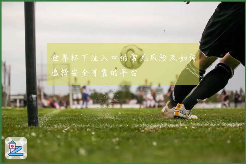世界杯下注入口的常见风险及如何选择安全可靠的平台
