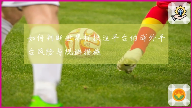 如何判断世界杯投注平台的海外平台风险与规避措施