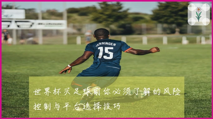 世界杯买足球前你必须了解的风险控制与平台选择技巧