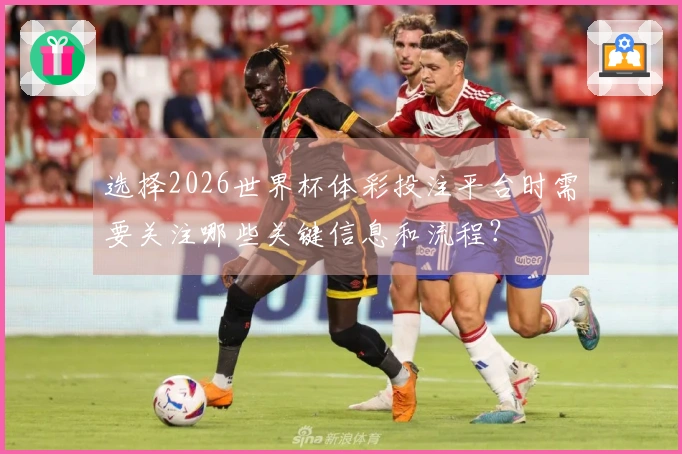 选择2026世界杯体彩投注平台时需要关注哪些关键信息和流程？