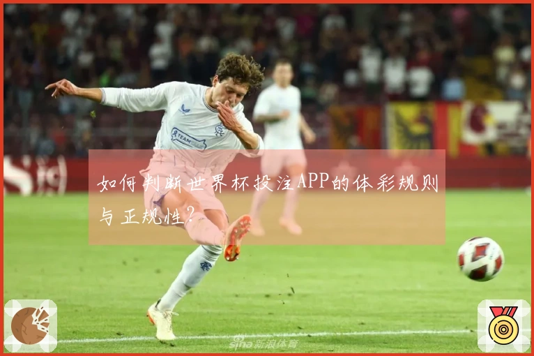 如何判断世界杯投注APP的体彩规则与正规性？