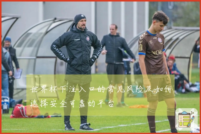 世界杯下注入口的常见风险及如何选择安全可靠的平台