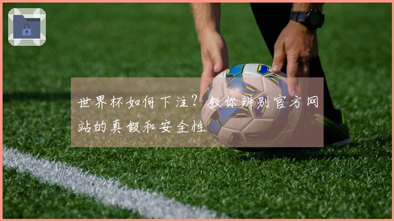 世界杯如何下注?教你辨别官方网站的真假和安全性