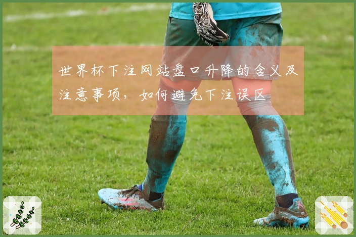 世界杯下注网站盘口升降的含义及注意事项，如何避免下注误区