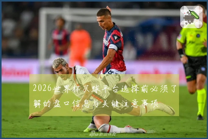 2026世界杯买球平台选择前必须了解的盘口信息与关键注意事项