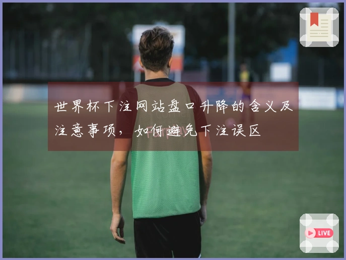 世界杯下注网站盘口升降的含义及注意事项,如何避免下注误区