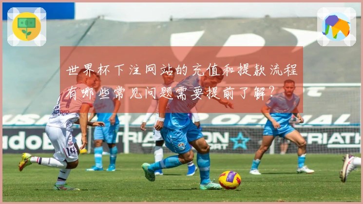 世界杯下注网站的充值和提款流程有哪些常见问题需要提前了解？