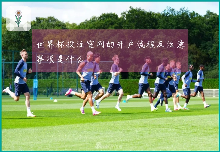 世界杯投注官网的开户流程及注意事项是什么?