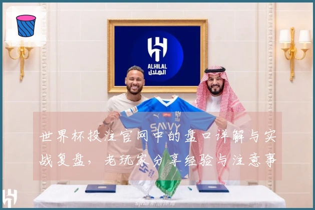 世界杯投注官网中的盘口详解与实战复盘，老玩家分享经验与注意事项
